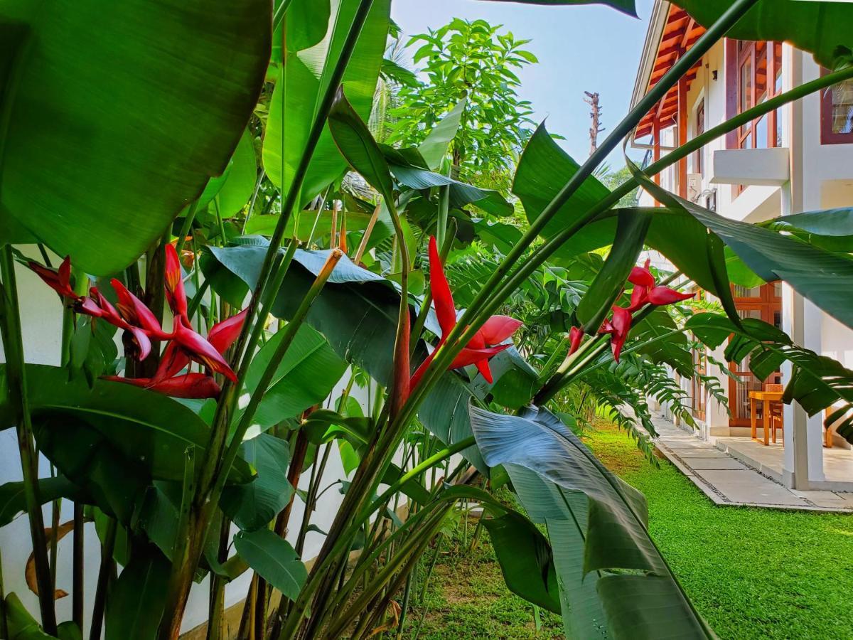 Villa Ema Galle Exteriér fotografie